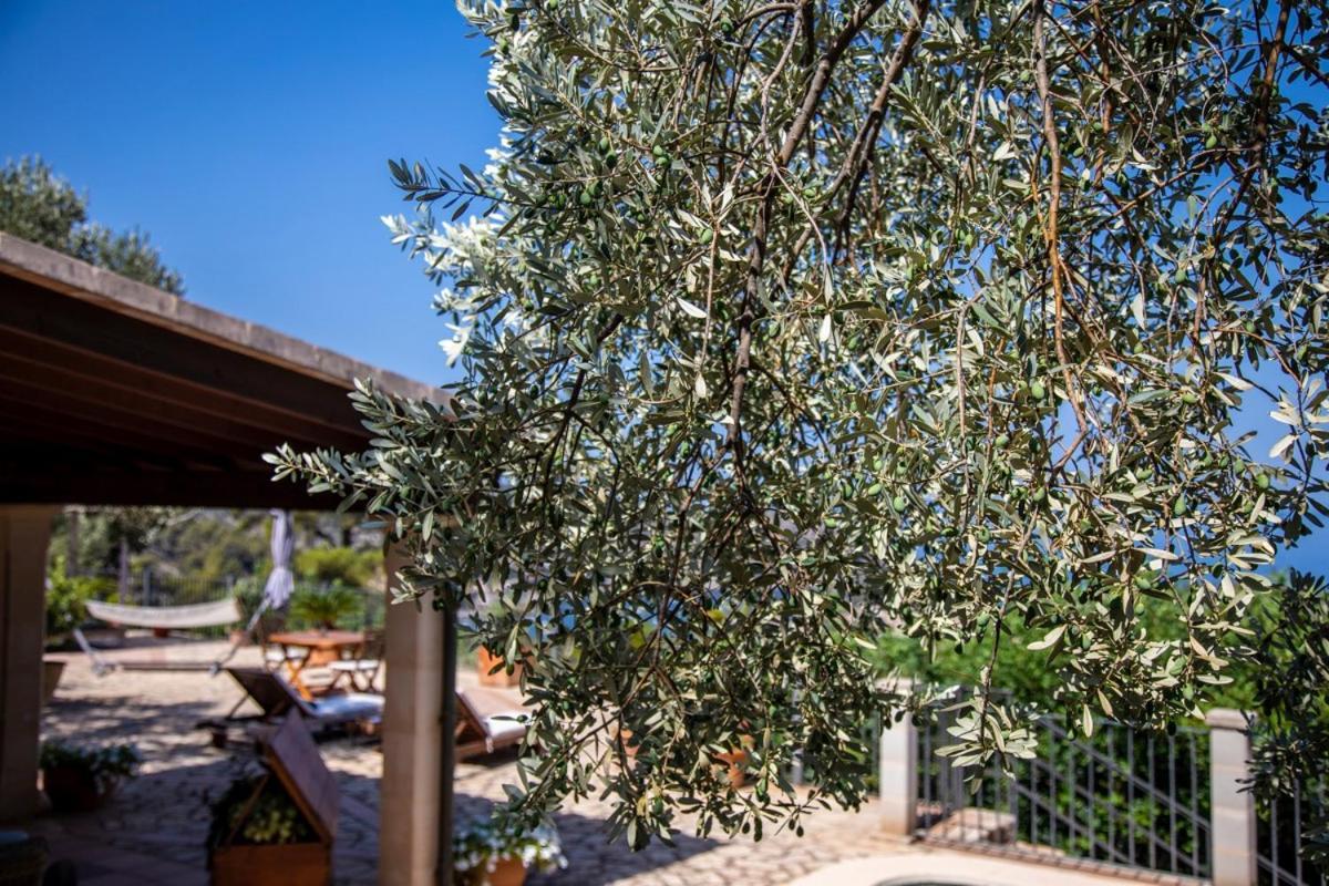 Finca Rural Es Pujol Sóller Exteriér fotografie